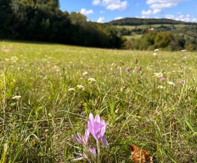 Sale Agrarian and forest land, Agrarian and forest land, Banská Bystri