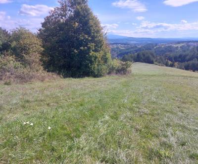 Sale Agrarian and forest land, Agrarian and forest land, Banská Bystri