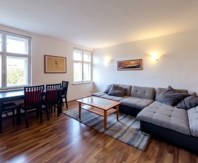 Beautiful, spacious 1 bdr apt 75m2, view of the castle, city center