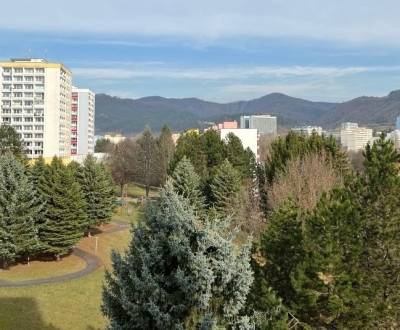 Searching for Two bedroom apartment, Two bedroom apartment, Trieda Hra