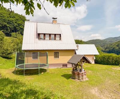 Sale Family house, Family house, Sidonie, Rybníček, Czech Republic