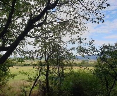 Sale Agrarian and forest land, Agrarian and forest land, Trnava, Slova