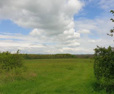 Sale Agrarian and forest land, Agrarian and forest land, Pezinok, Slov
