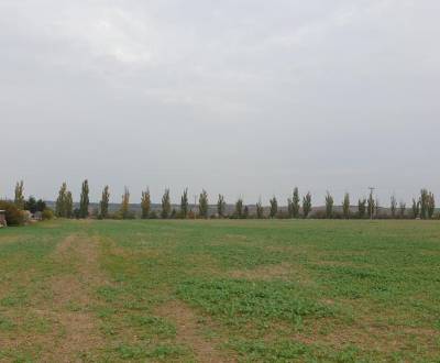 Sale Agrarian and forest land, Agrarian and forest land, Pod kašteľom,