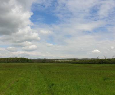 Sale Agrarian and forest land, Agrarian and forest land, Pezinok, Slov