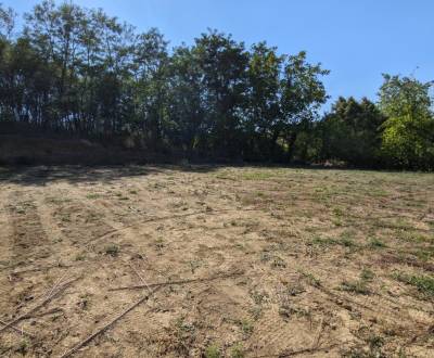 Sale Land – for living, Land – for living, Melek, Nitra, Slovakia