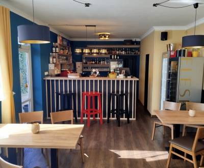 Sale Gastro premises, Gastro premises, Pribinova, Hlohovec, Slovakia