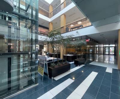 Rent Commercial premises, Commercial premises, Sídlisko Jas, Galanta, 