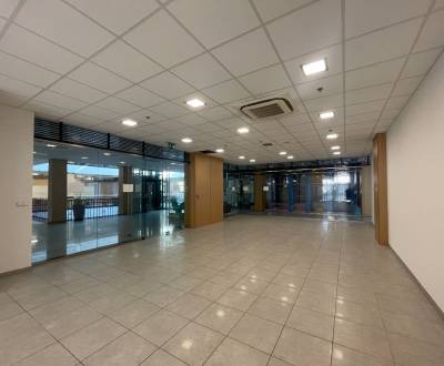 Rent Commercial premises, Commercial premises, Sídlisko Jas, Galanta, 