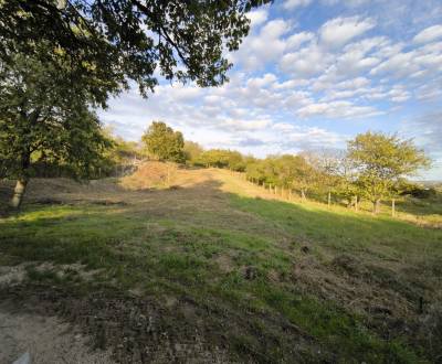 Sale Recreational land, Recreational land, Bratislava - Rača, Slovakia