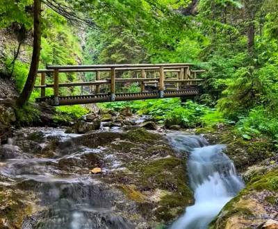 Sale Land – for living, Land – for living, Michalovce, Slovakia