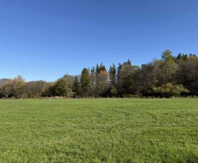Sale Agrarian and forest land, Agrarian and forest land, Krasňany, Žil