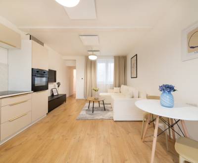 Rent One bedroom apartment, One bedroom apartment, Beniakova, Nitra, S