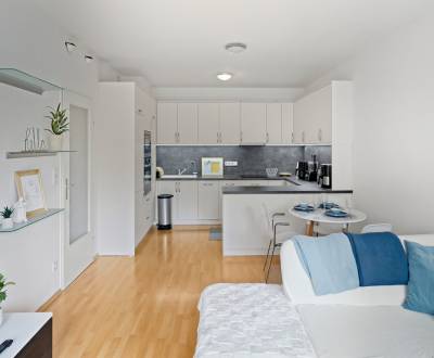 Sunny 2-bdr apartment under the forest, 74m2, balcony, parking, cellar