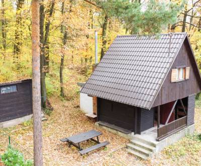 Sale Cottage, Cottage, Senica, Slovakia