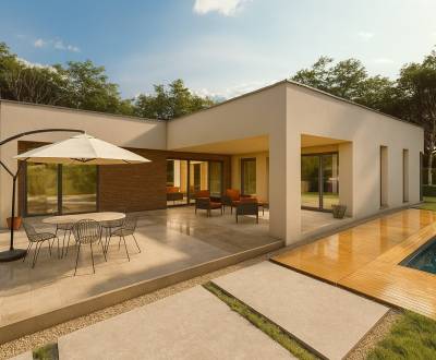 Sale Family house, Family house, Trenčín, Slovakia