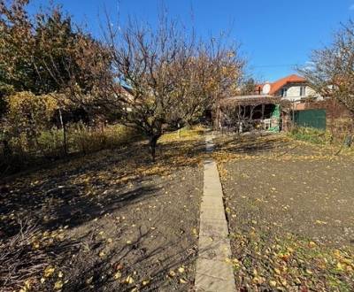 Sale Gardens, Gardens, Stredná, Bratislava - Ružinov, Slovakia