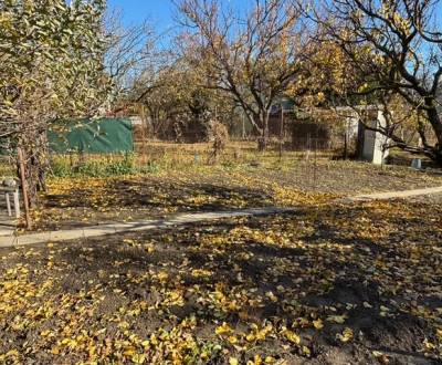 Sale Gardens, Gardens, Stredná, Bratislava - Ružinov, Slovakia