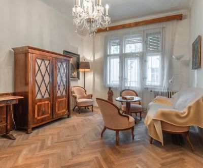Spacious Historical Apartment in Bratislava's Staré Mesto