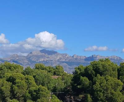 Sale Family house, Family house, Alicante / Alacant, Spain