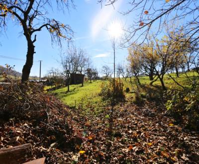 Sale Family house, Family house, Zvolen, Slovakia