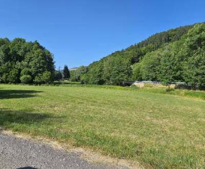 Sale Agrarian and forest land, Agrarian and forest land, Detva, Slovak