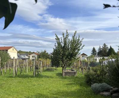 Sale Family house, Family house, Puškinova, Pezinok, Slovakia