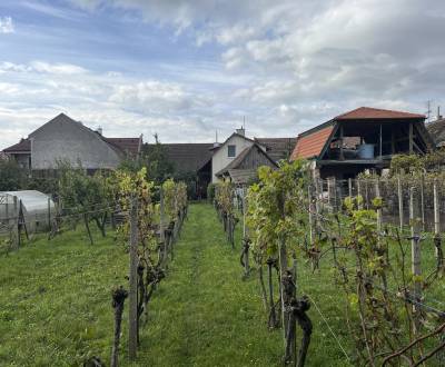 Sale Family house, Family house, Puškinova, Pezinok, Slovakia