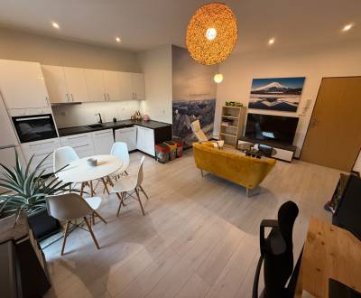 Sale One bedroom apartment, One bedroom apartment, Terézie Vansovej, P