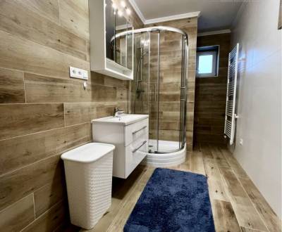 Rent One bedroom apartment, One bedroom apartment, Západ, Dunajská Str