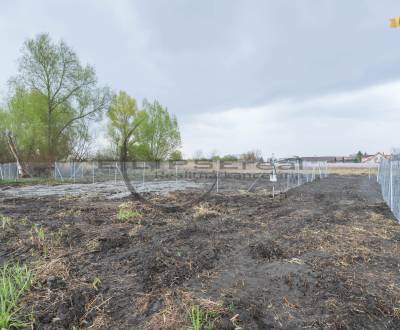 Sale Land – for living, Land – for living, Nad potokom, Malacky, Slova