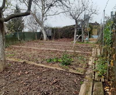 Sale Gardens, Gardens, Zvolen, Slovakia