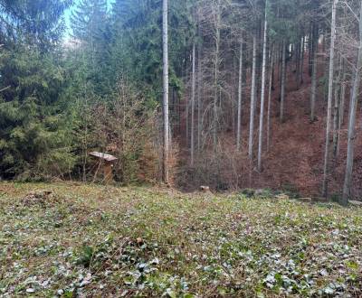 Sale Recreational land, Recreational land, Martin, Slovakia