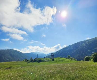 Sale Agrarian and forest land, Agrarian and forest land, Žilina, Slova