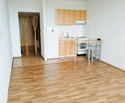 Sale Single studio, Single studio, Podbrezovská, Bratislava - Rača, Sl