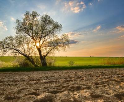 Sale Agrarian and forest land, Agrarian and forest land, Banská Bystri