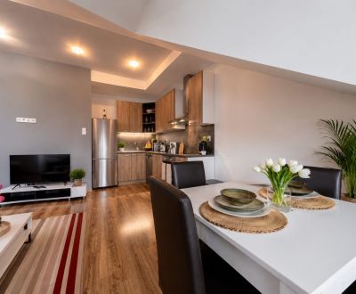 Rent Two bedroom apartment, Two bedroom apartment, Vodná, Košice - Sta