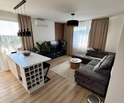 Rent Two bedroom apartment, Two bedroom apartment, Ivanská cesta, Brat