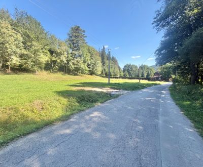 Sale Land – for living, Land – for living, Čierne, Čadca, Slovakia