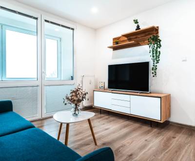 Rent One bedroom apartment, One bedroom apartment, Užhorodská, Košice 