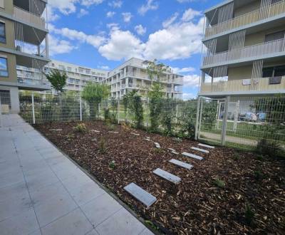 Rent One bedroom apartment, One bedroom apartment, Na výslní, Bratisla