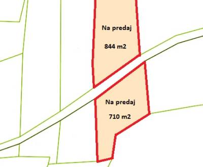 Sale Agrarian and forest land, Agrarian and forest land, Trenčín, Slov