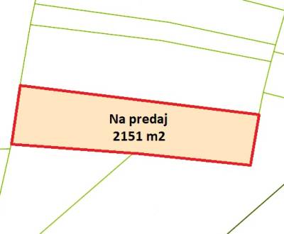 Sale Agrarian and forest land, Agrarian and forest land, Trenčín, Slov