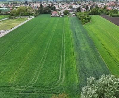 Sale Land – for living, Land – for living, Slaná dolina, Galanta, Slov