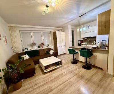 Sale One bedroom apartment, One bedroom apartment, Považská Bystrica, 