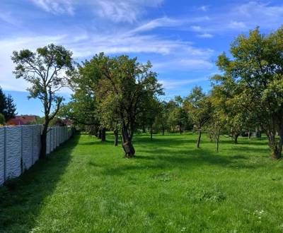 Sale Land – for living, Land – for living, Topoľčany, Slovakia