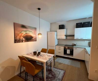 Rent One bedroom apartment, One bedroom apartment, Clementisove sady, 