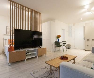 Bright 1.5-room flat with loggia