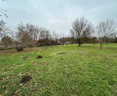 Sale Land – for living, Land – for living, Kava hlavná, Komárno, Slova