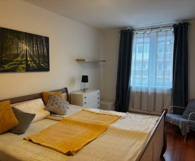 Rent One bedroom apartment, One bedroom apartment, Veltlínska, Pezinok